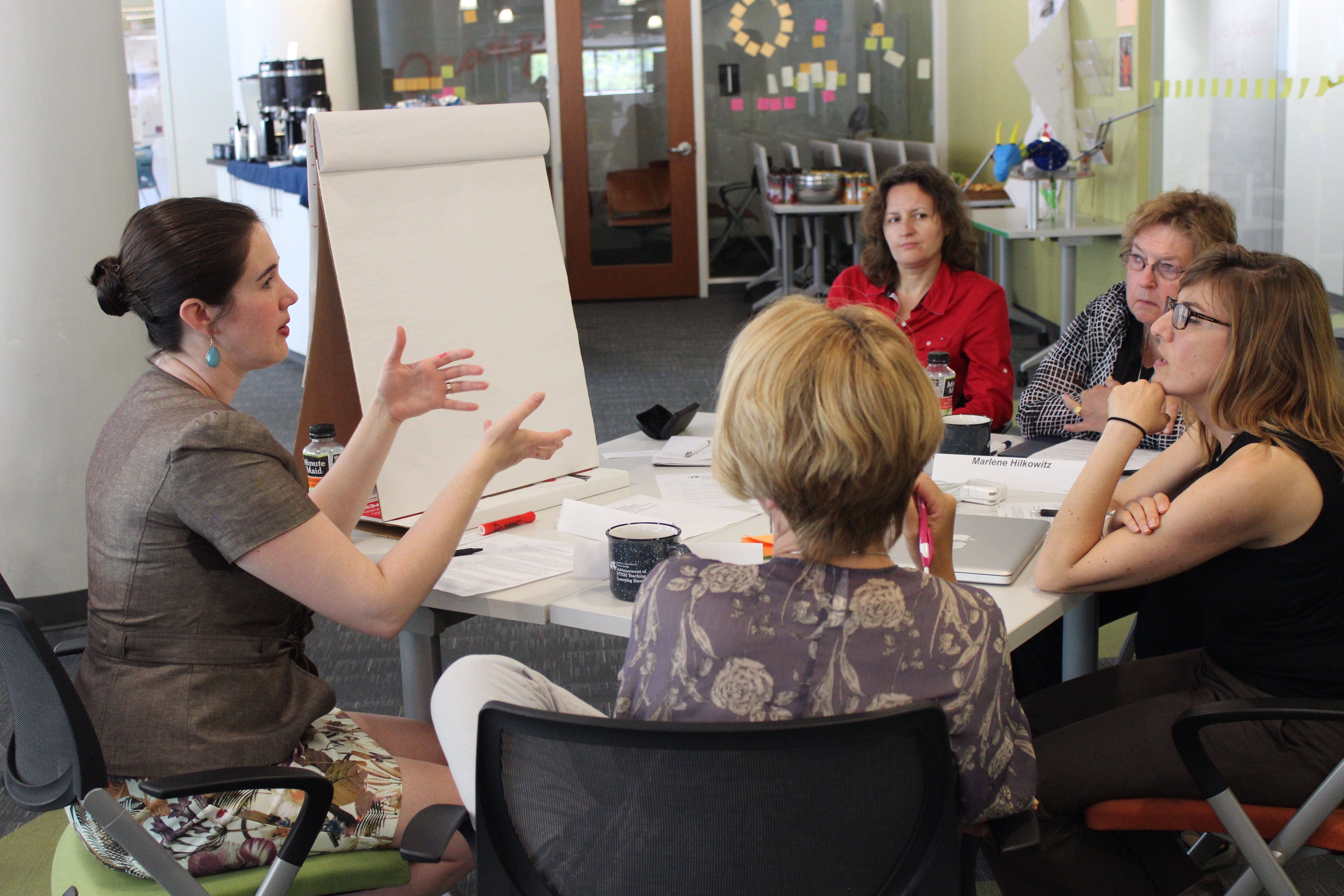 Group interaction at CASTLE's Partners Meeting